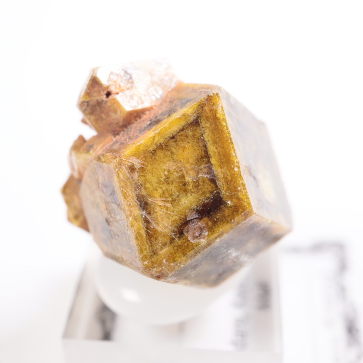 �ޥ껺 �����ͥå�