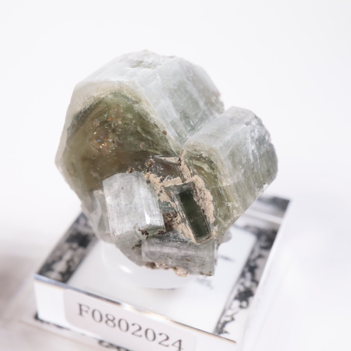 �ѥʥ�������ۻ� ���ѥ�����