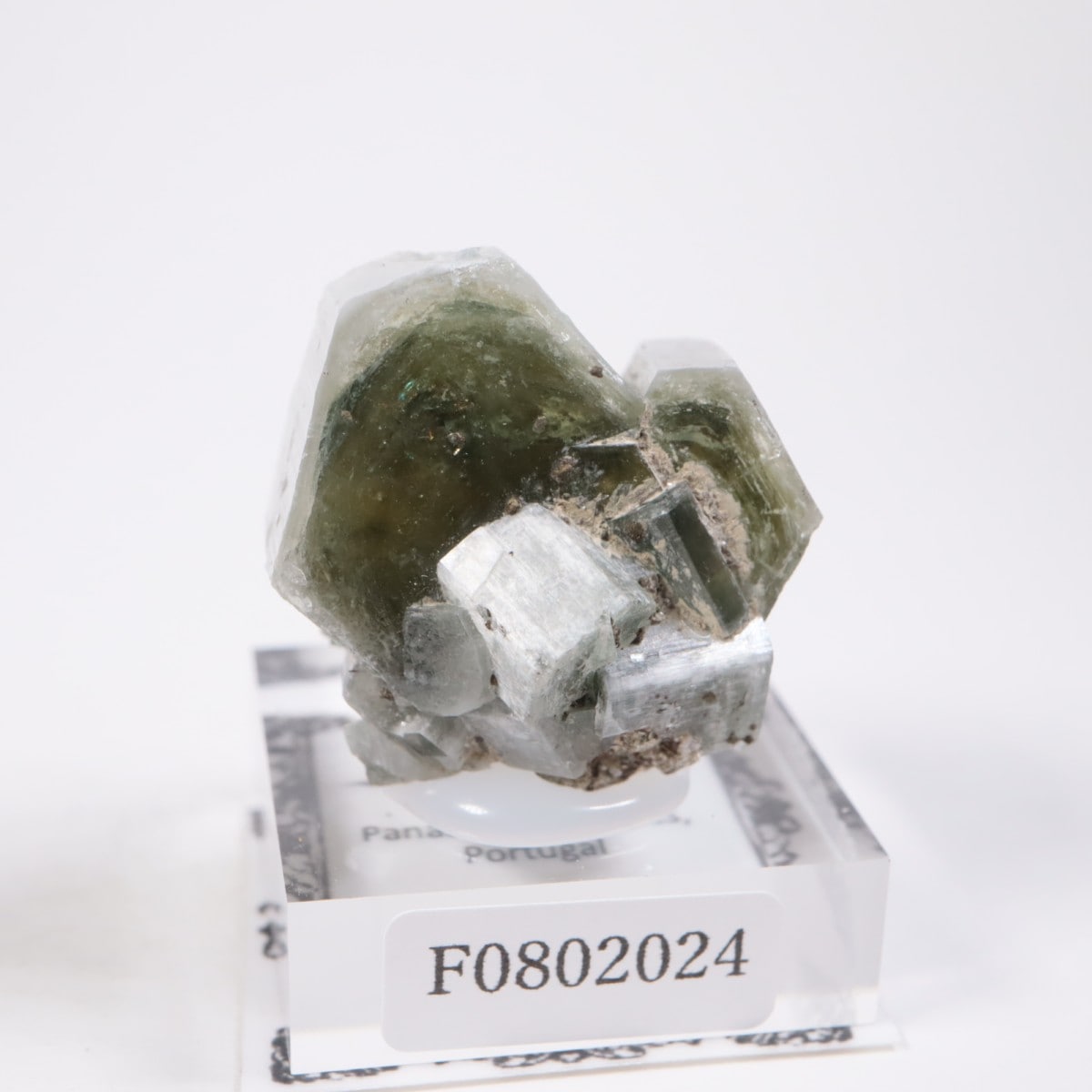 �ѥʥ�������ۻ� ���ѥ�����