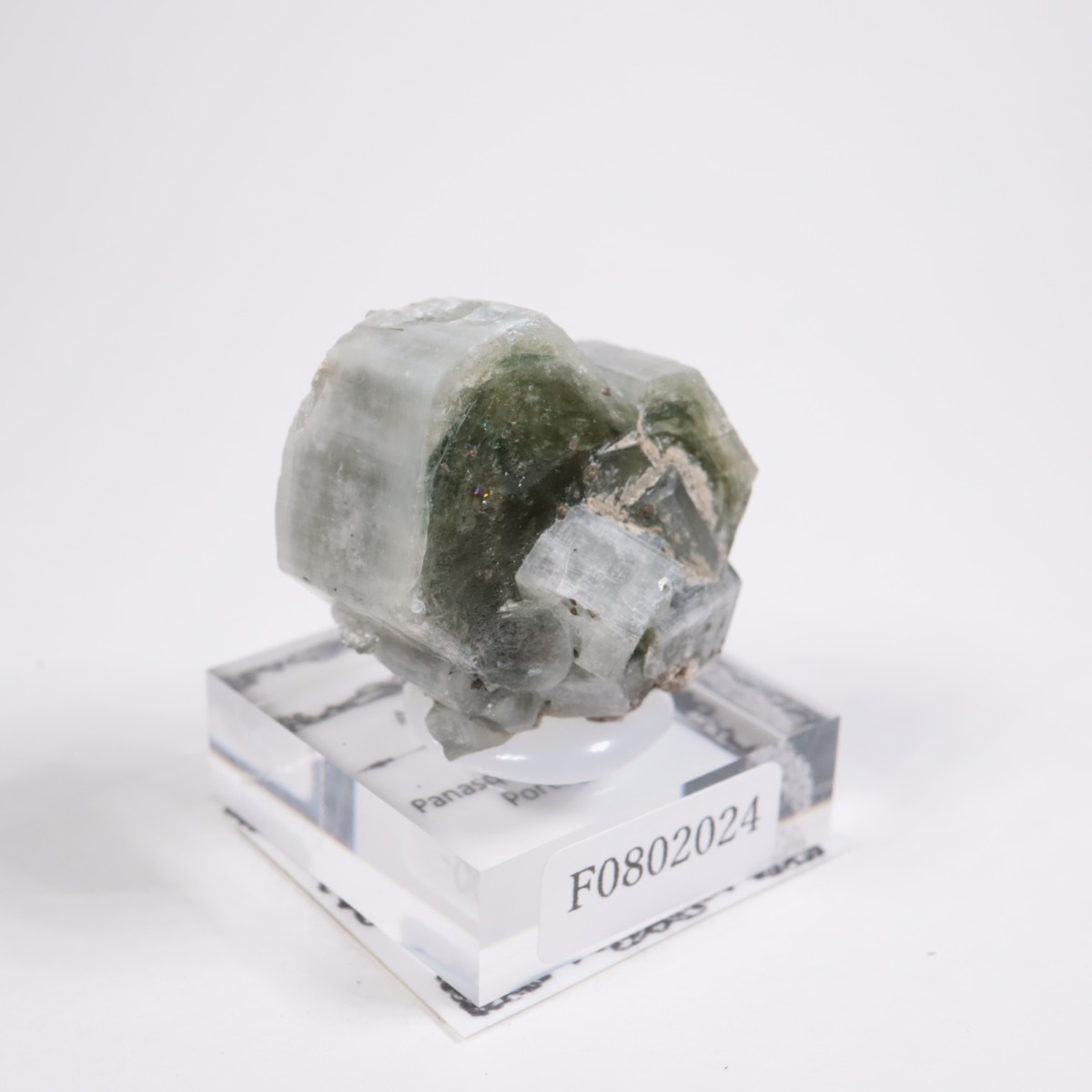 �ѥʥ�������ۻ� ���ѥ�����