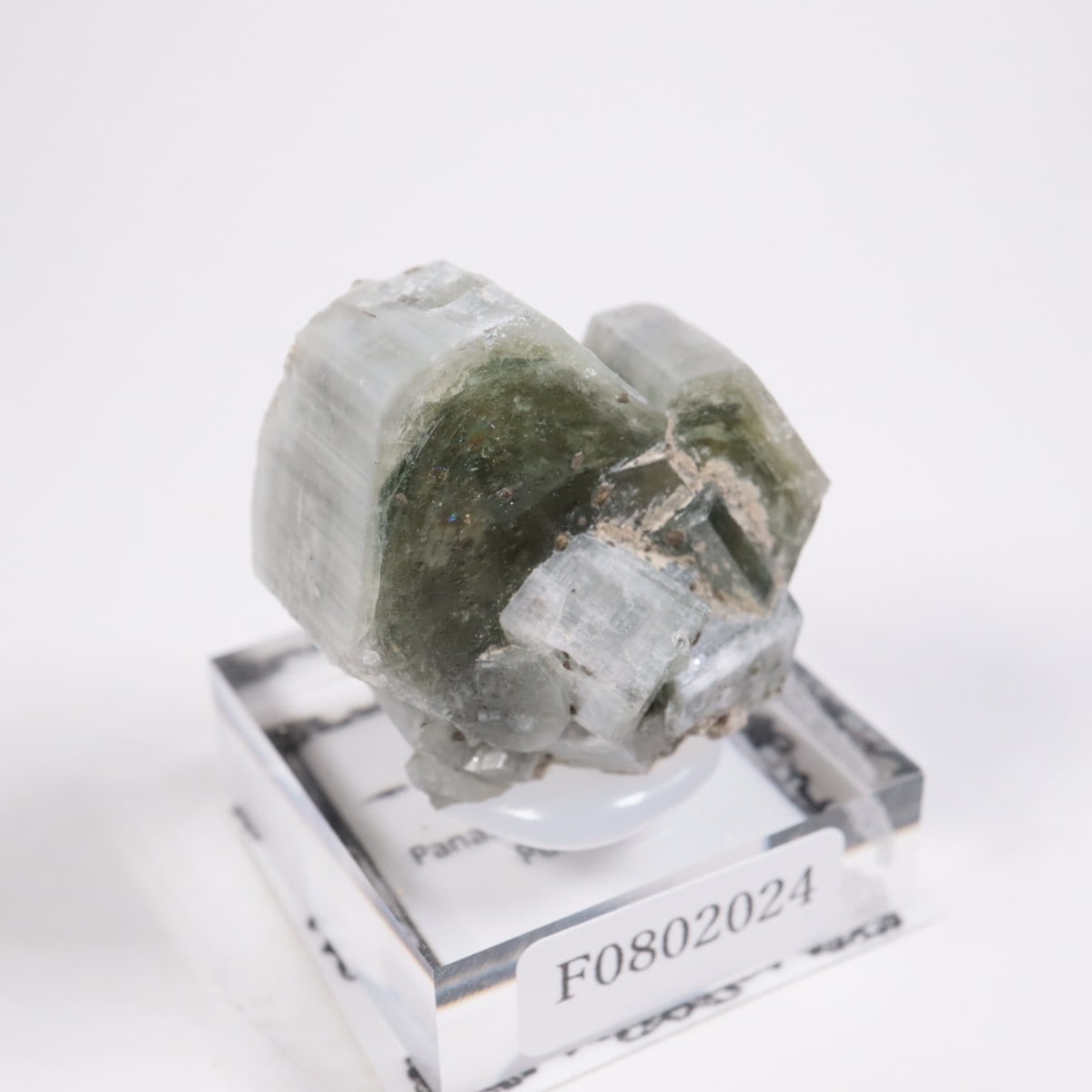 アパタイト パナスケイラ鉱山 アパタイト | 鉱物標本,ア行,アパタイト