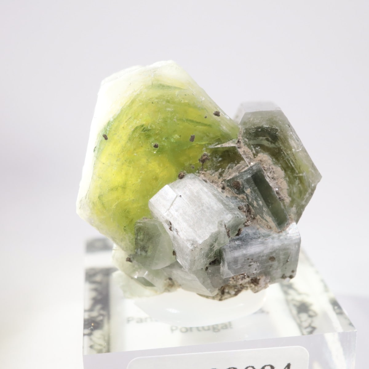 �ѥʥ�������ۻ� ���ѥ�����