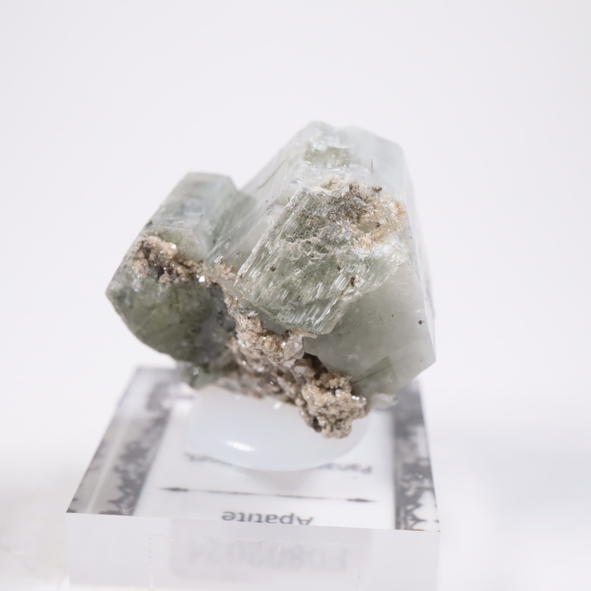 �ѥʥ�������ۻ� ���ѥ�����