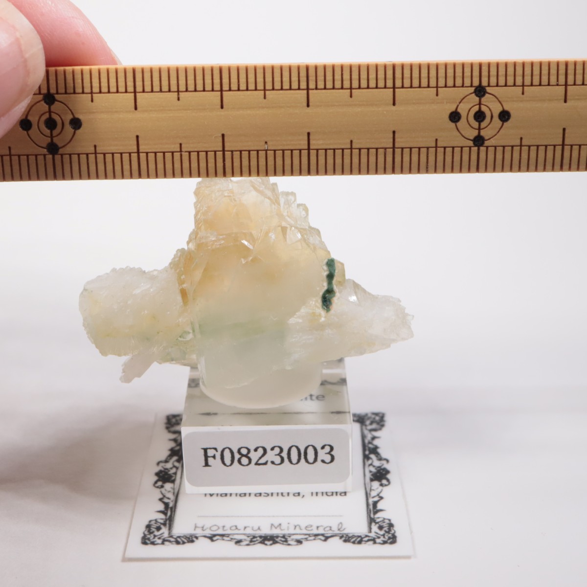 ����ɻ� ���ݥե��饤��