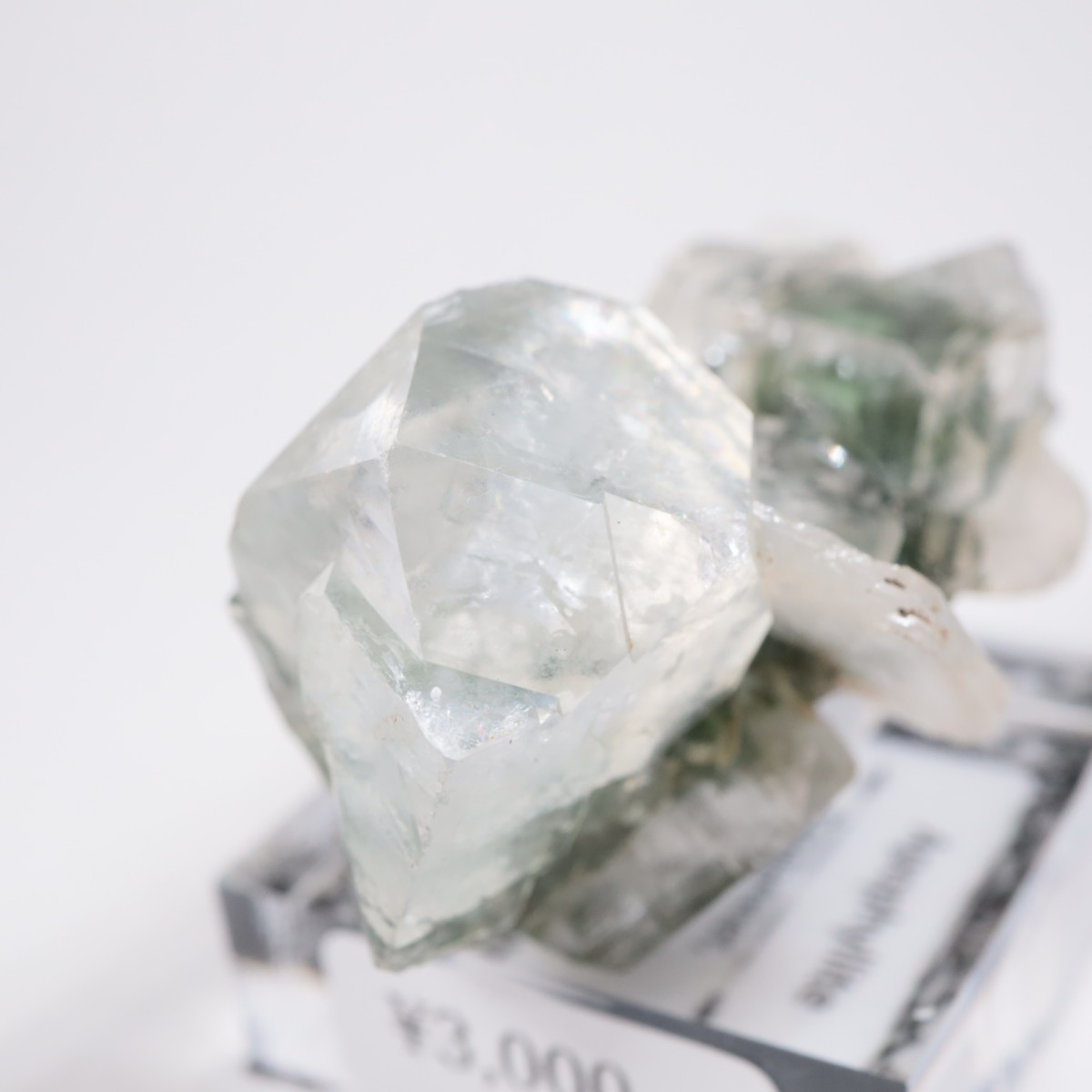 ����ɻ� ���ݥե��饤��