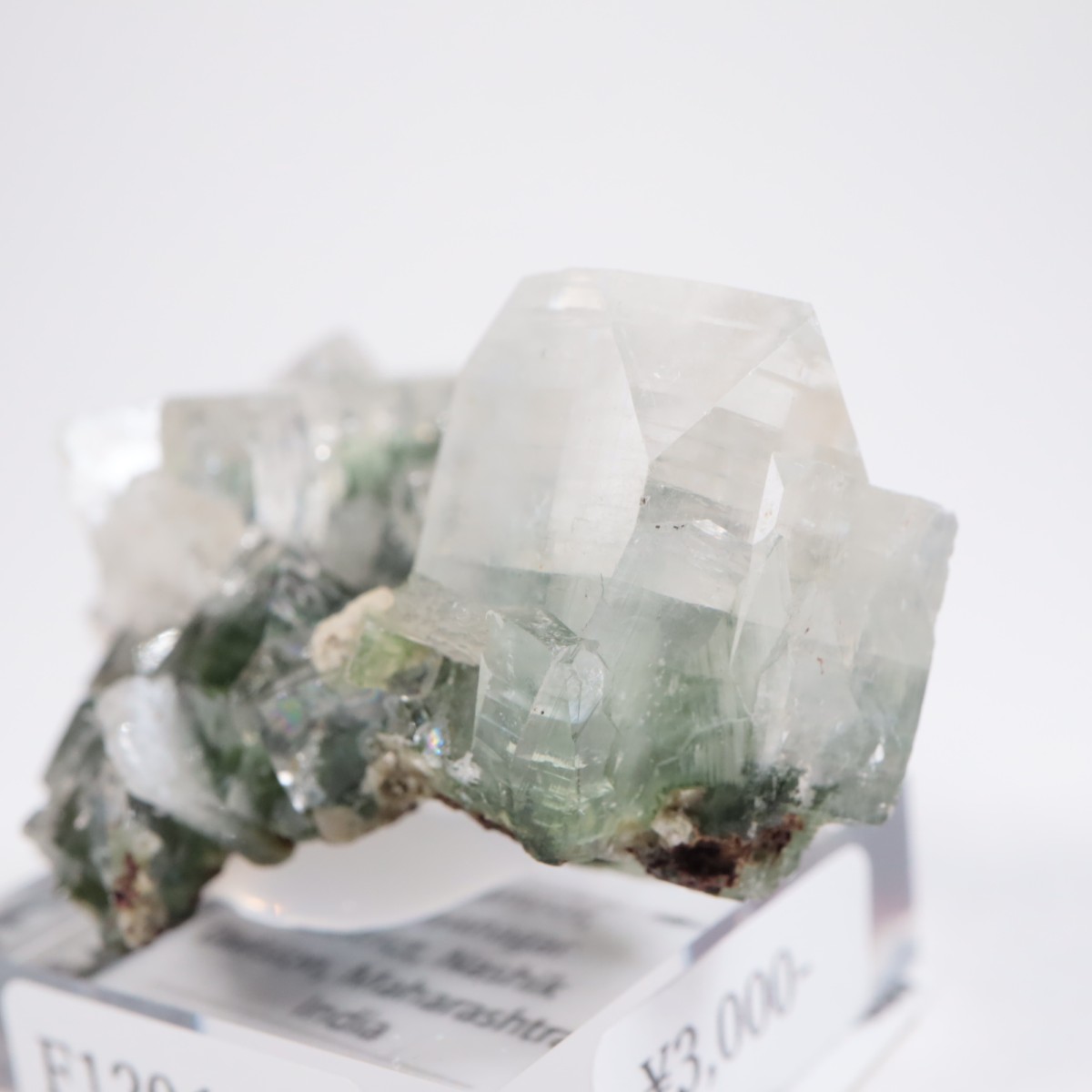 ����ɻ� ���ݥե��饤��