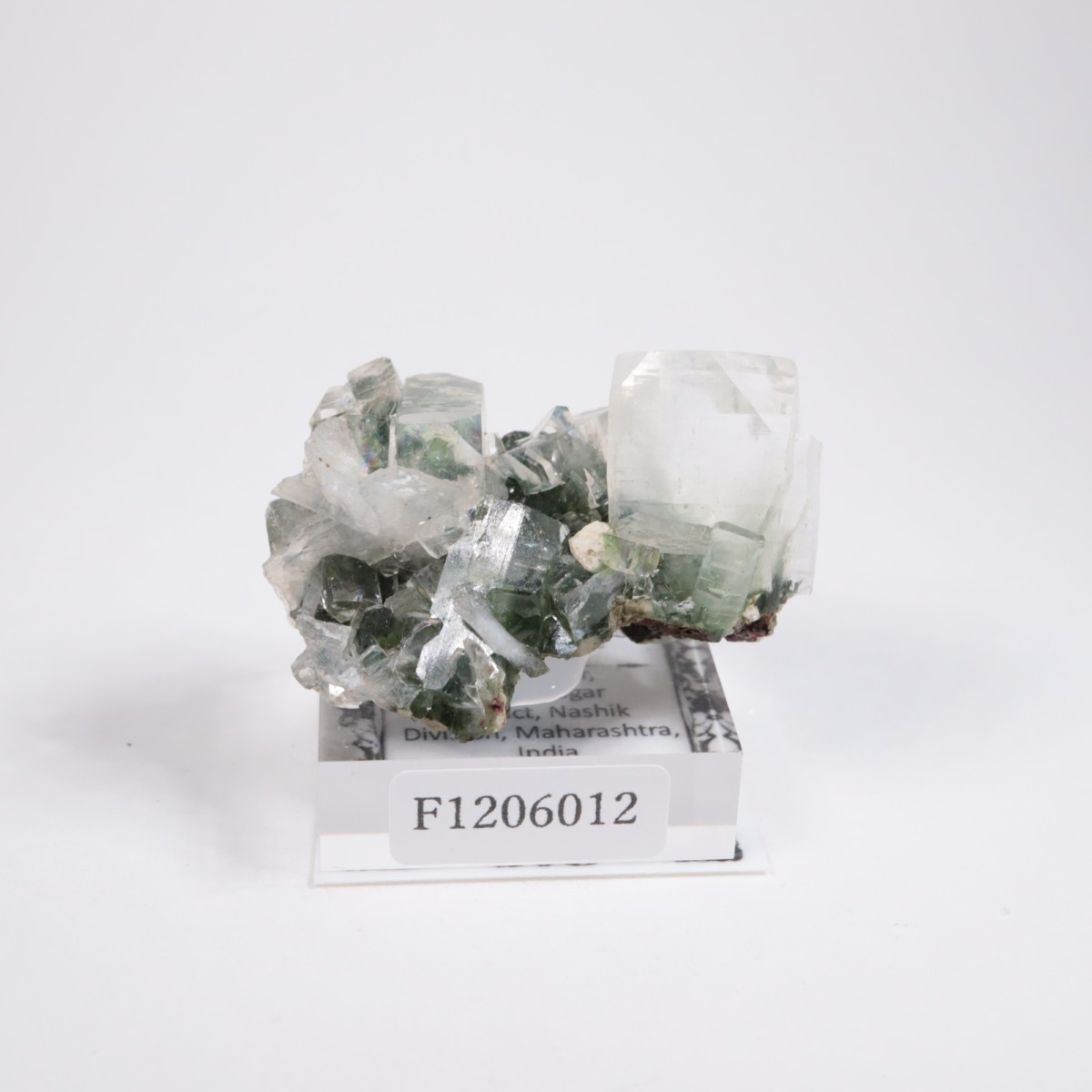 ����ɻ� ���ݥե��饤��