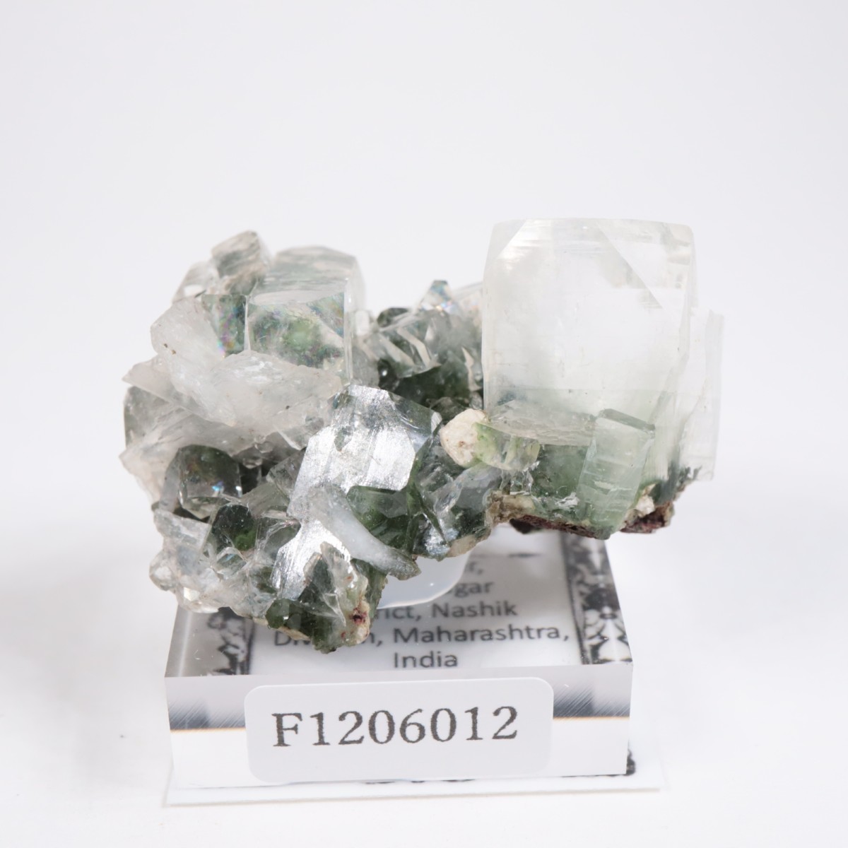 ����ɻ� ���ݥե��饤��