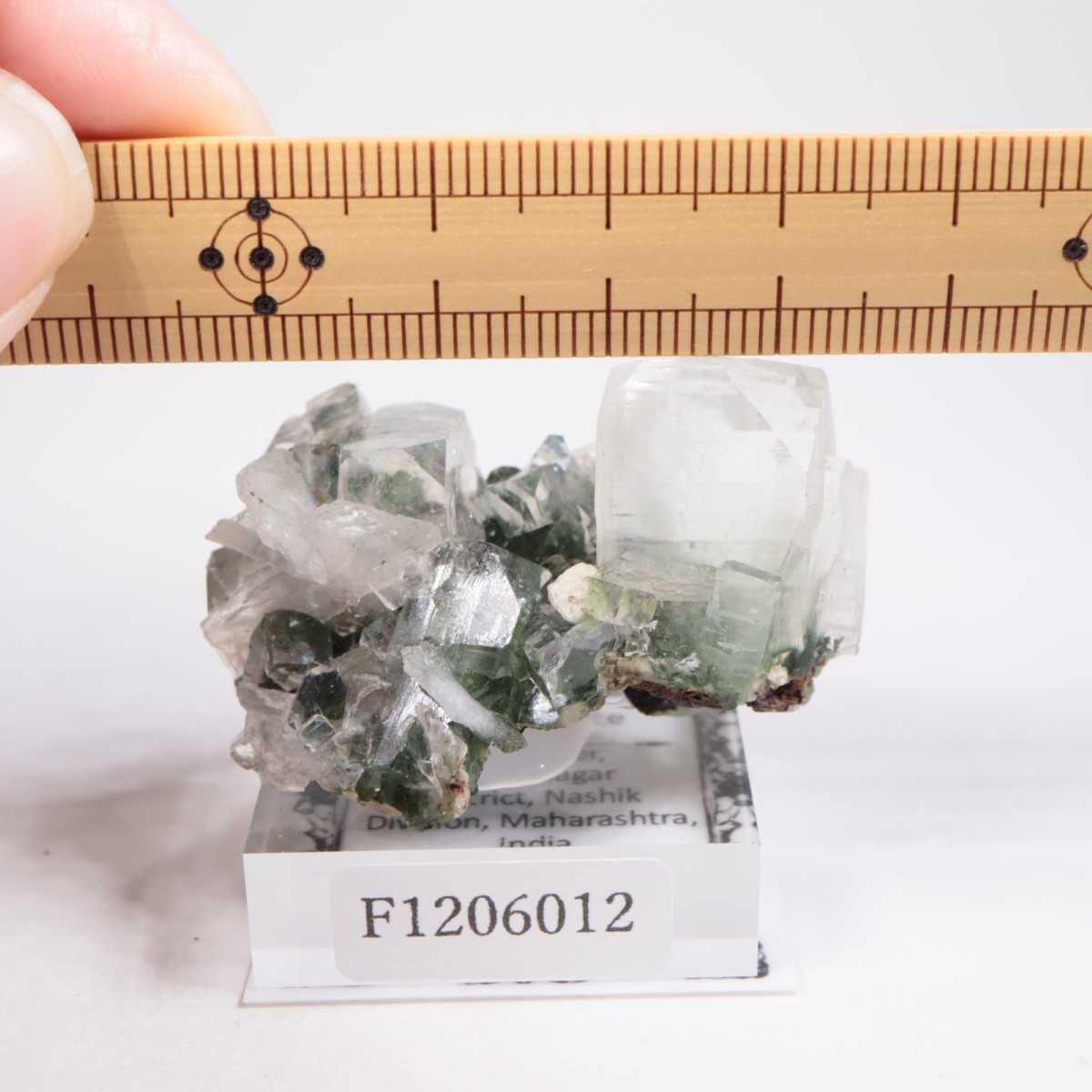 ����ɻ� ���ݥե��饤��