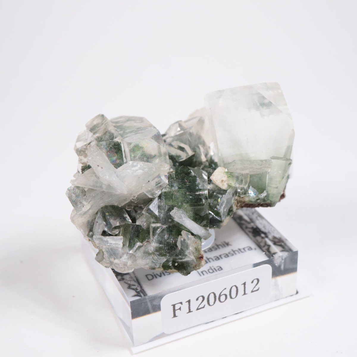 ����ɻ� ���ݥե��饤��