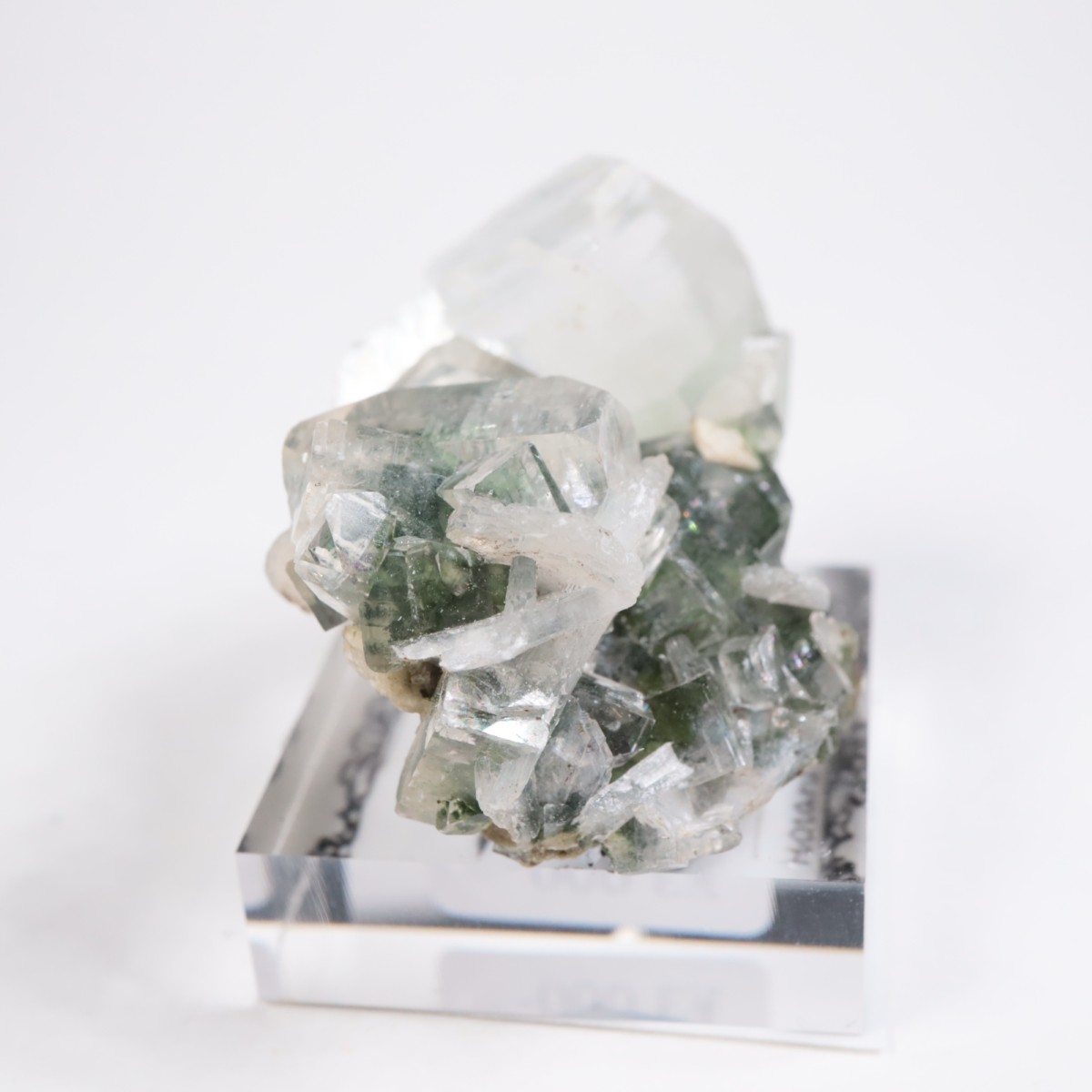 ����ɻ� ���ݥե��饤��