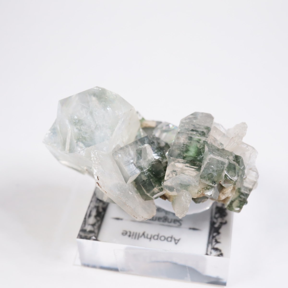 ����ɻ� ���ݥե��饤��