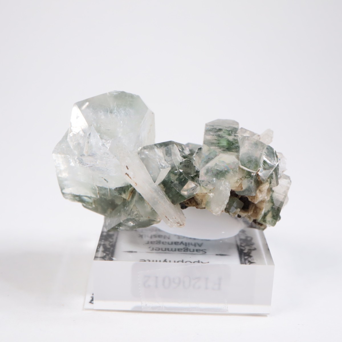 ����ɻ� ���ݥե��饤��