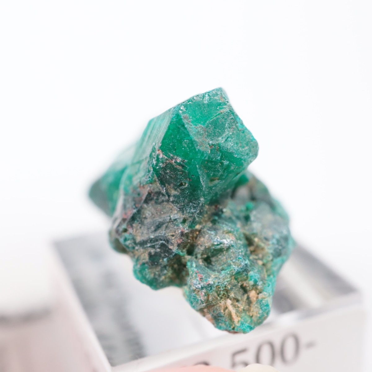 ���󥴻� �������ץơ���