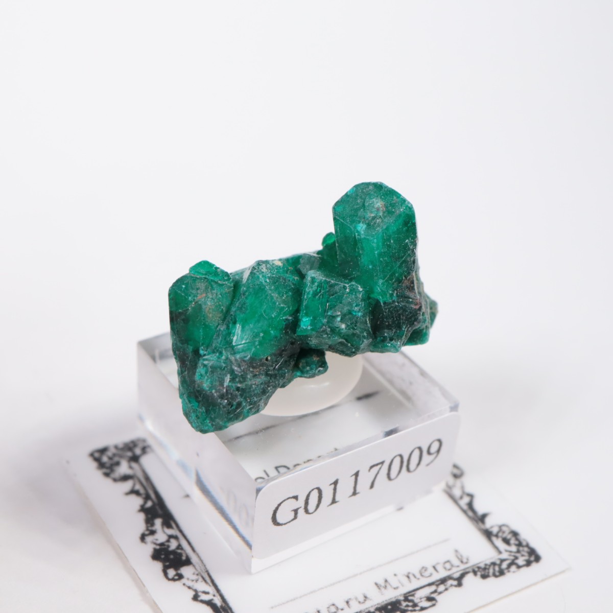 ���󥴻� �������ץơ���