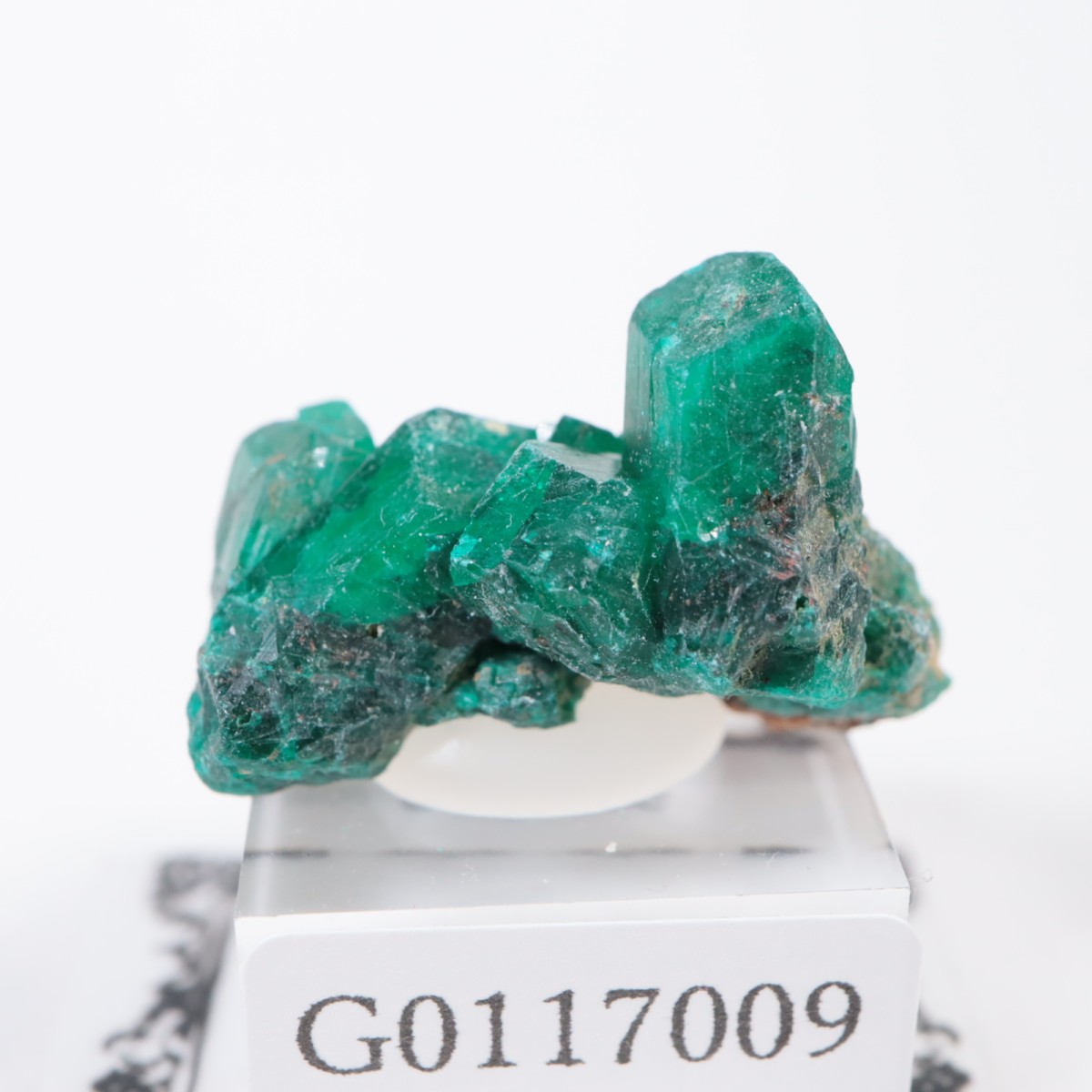 ���󥴻� �������ץơ���