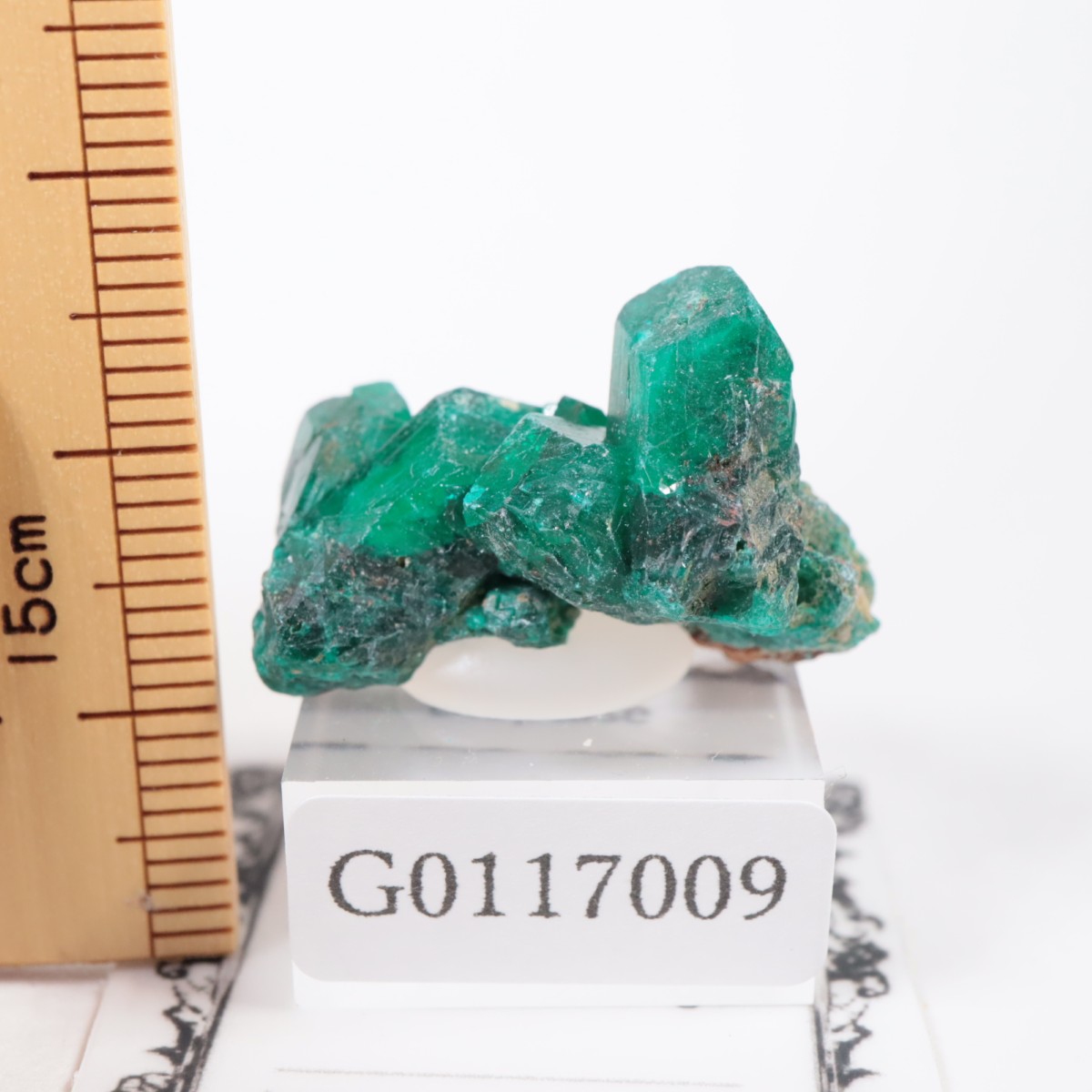 コンゴ産 ダイオプテーズ | 鉱物標本,タ行,ダイオプテーズ/翠銅鉱