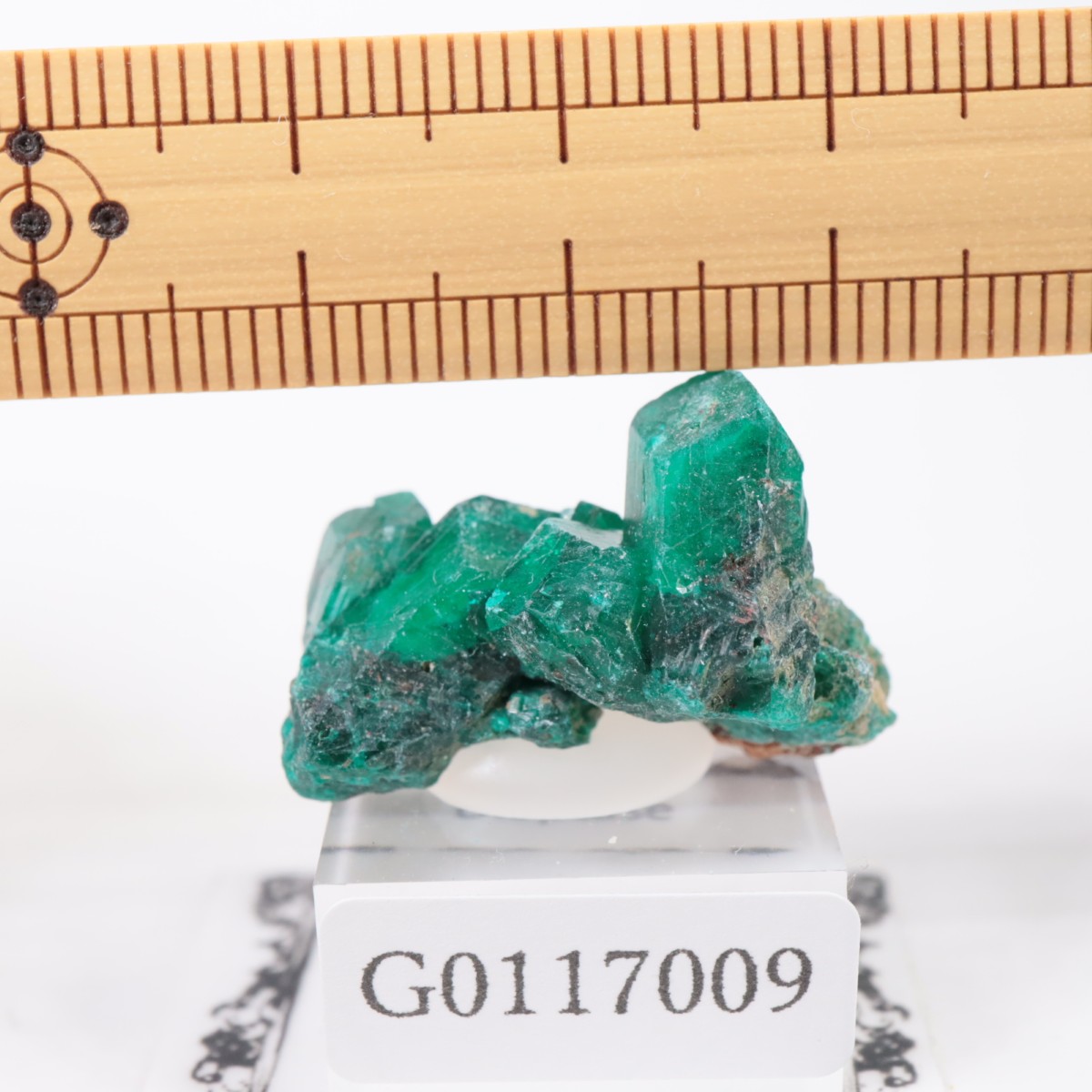 ���󥴻� �������ץơ���