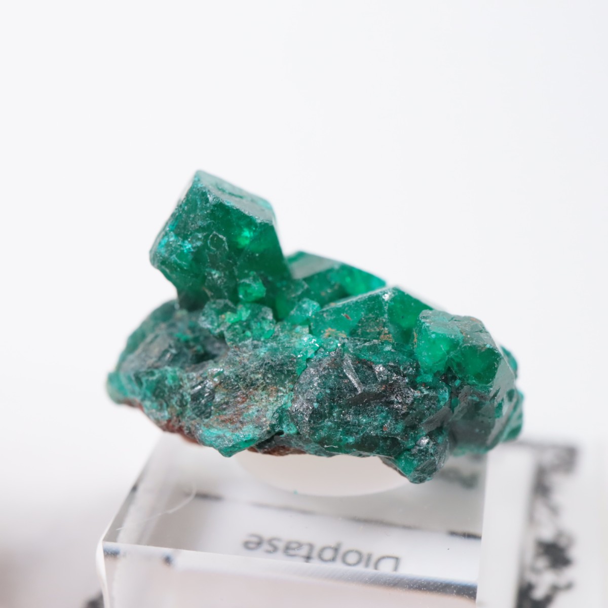 ���󥴻� �������ץơ���