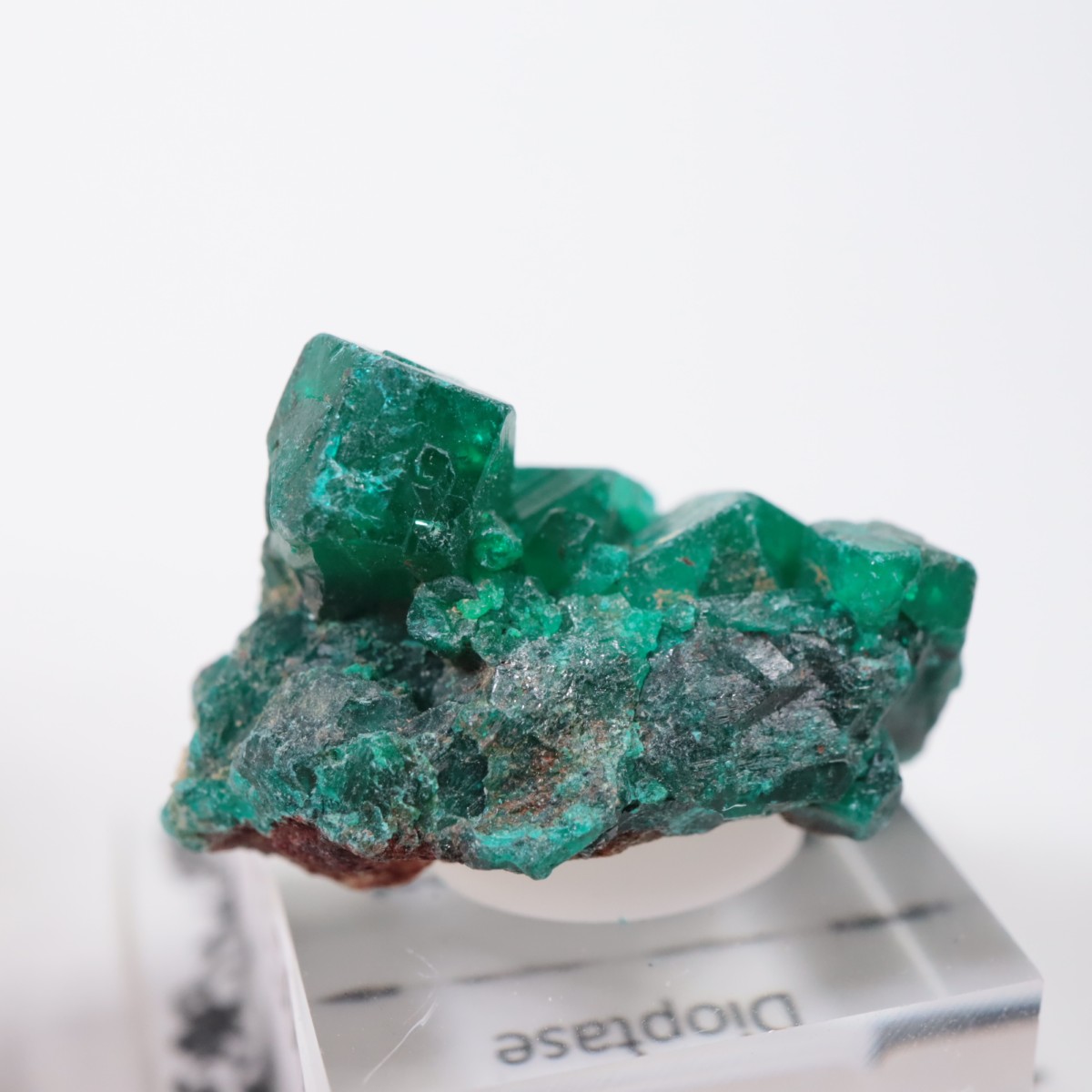 ���󥴻� �������ץơ���