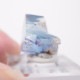 La Barre�ۻ��� �ե����饤��