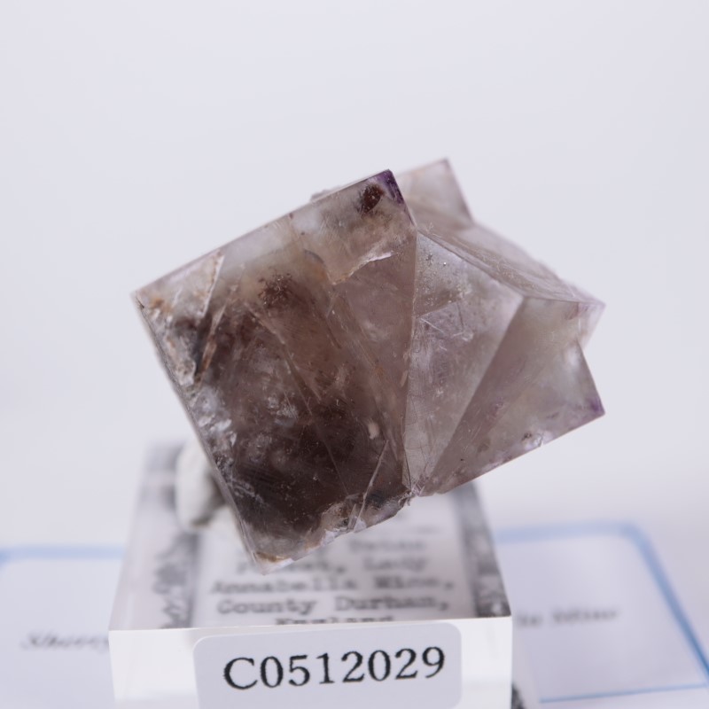 ミ*オ様 イギリス産 Sherry Twins Pocket フローライト 鉱物 Sherry