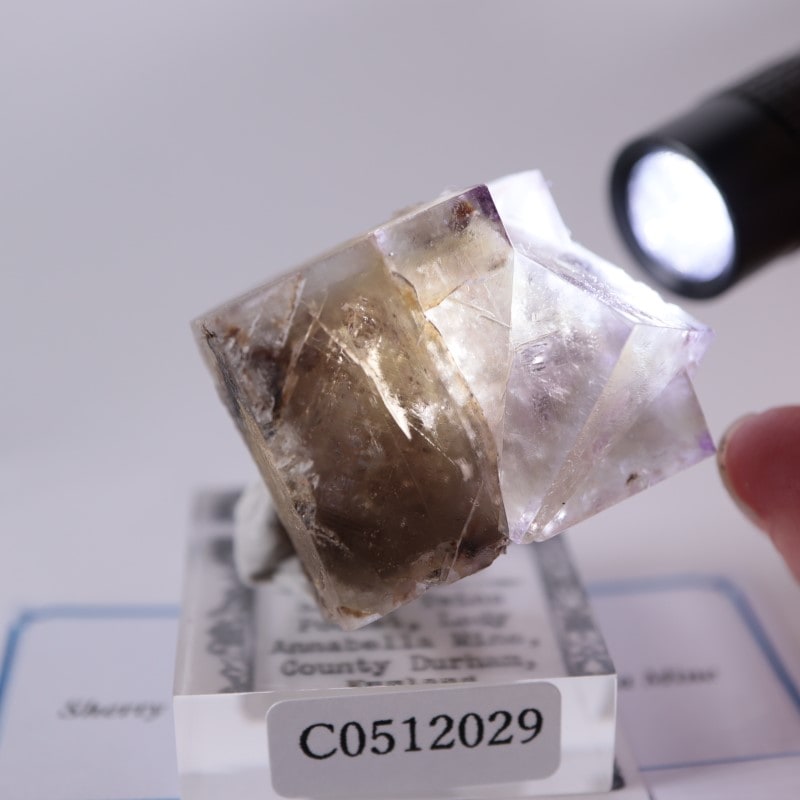 Sherry Twins Pocket フローライト | 鉱物標本,ハ行,フローライト/蛍石