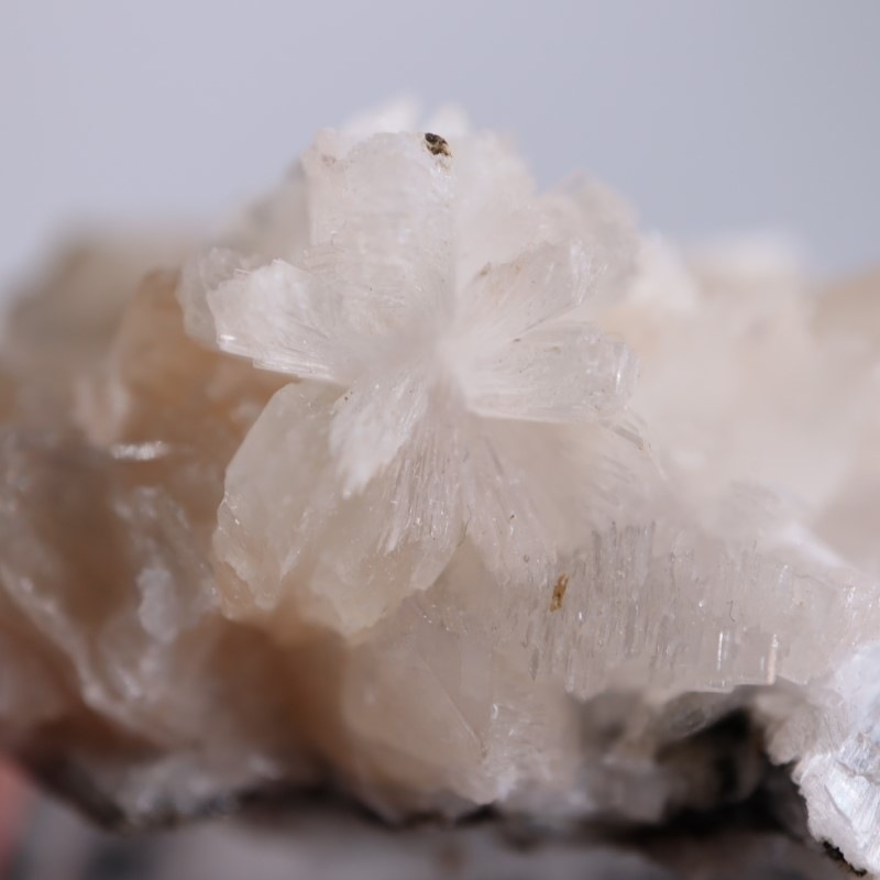 Amudikha River���ȥॽ��ʨ��