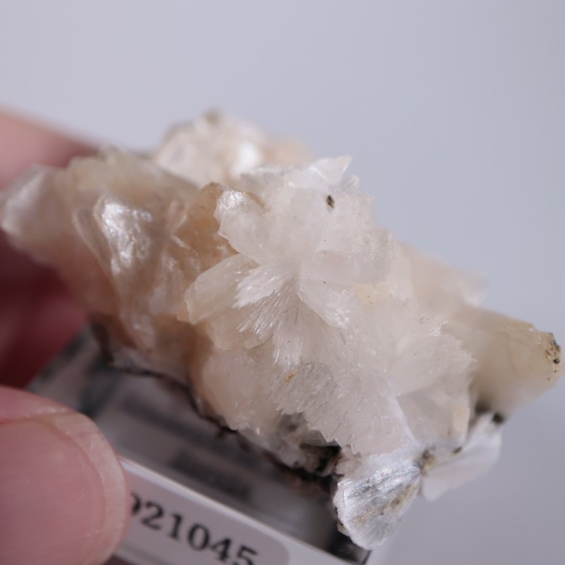 Amudikha River���ȥॽ��ʨ��