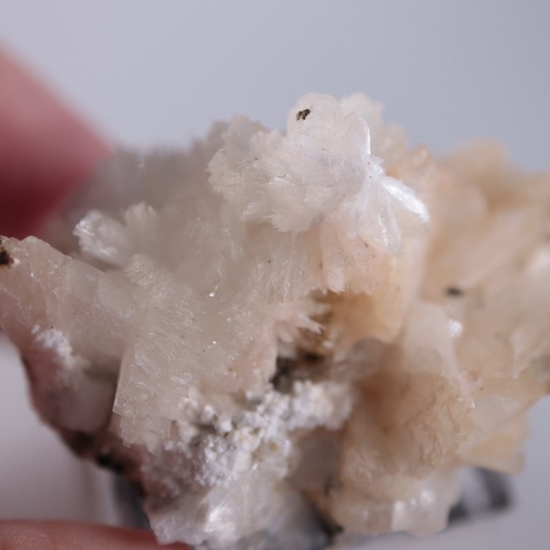 Amudikha River���ȥॽ��ʨ��