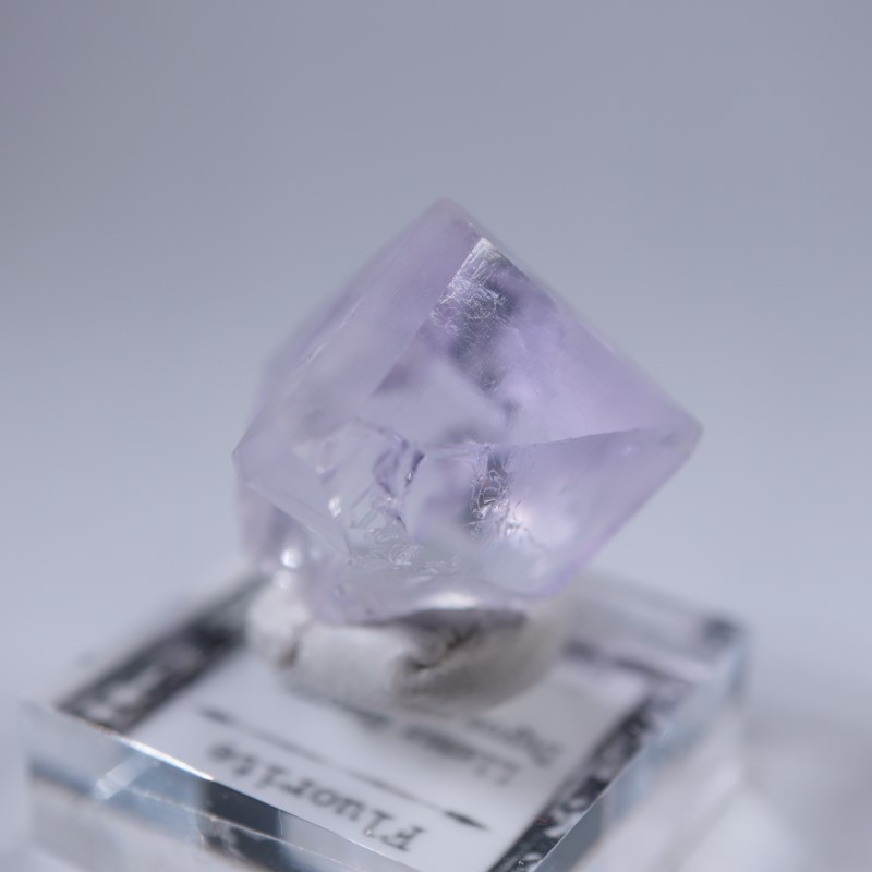 Llamas�����ե����饤��