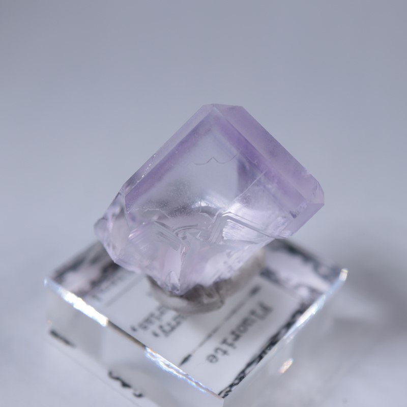 Llamas�����ե����饤��