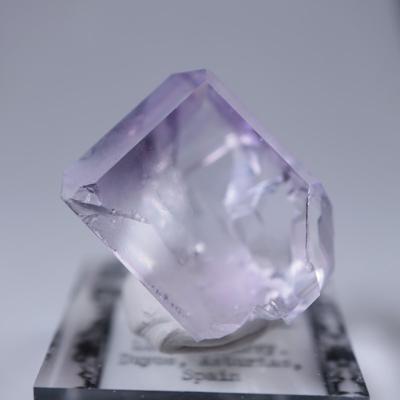 Llamas�����ե����饤��