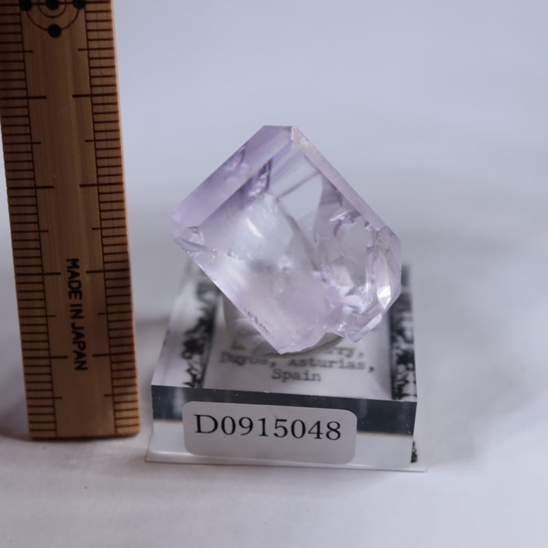 Llamas�����ե����饤��