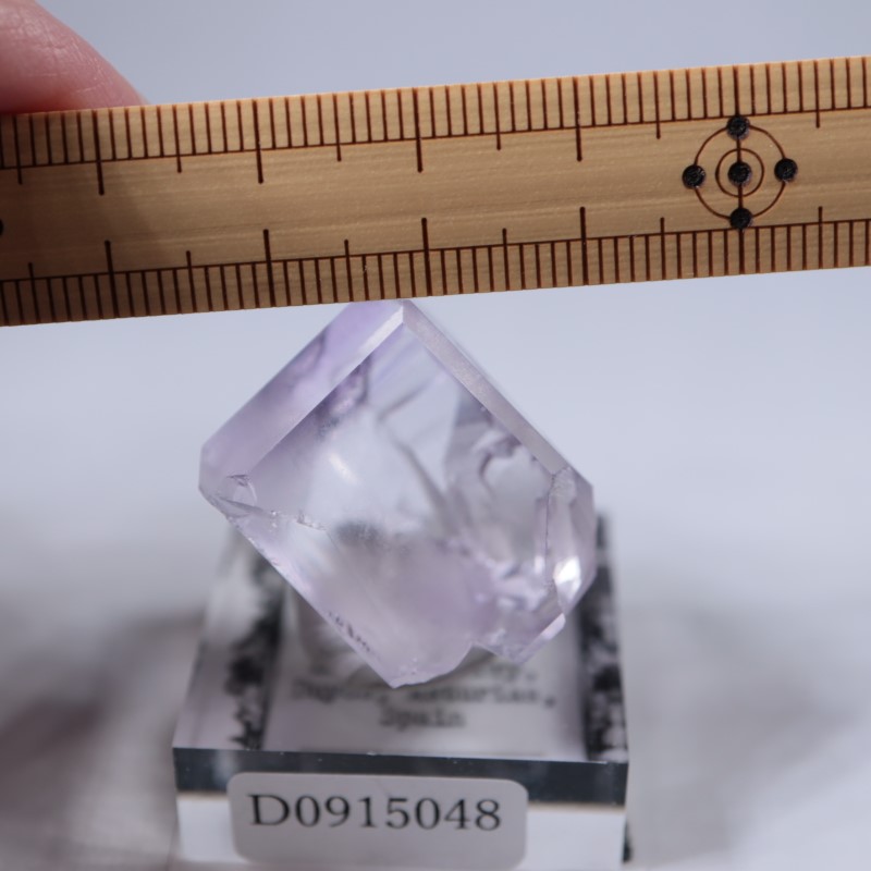 Llamas�����ե����饤��