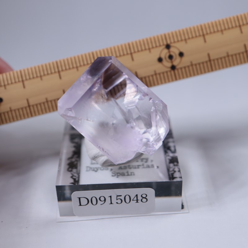 Llamas�����ե����饤��