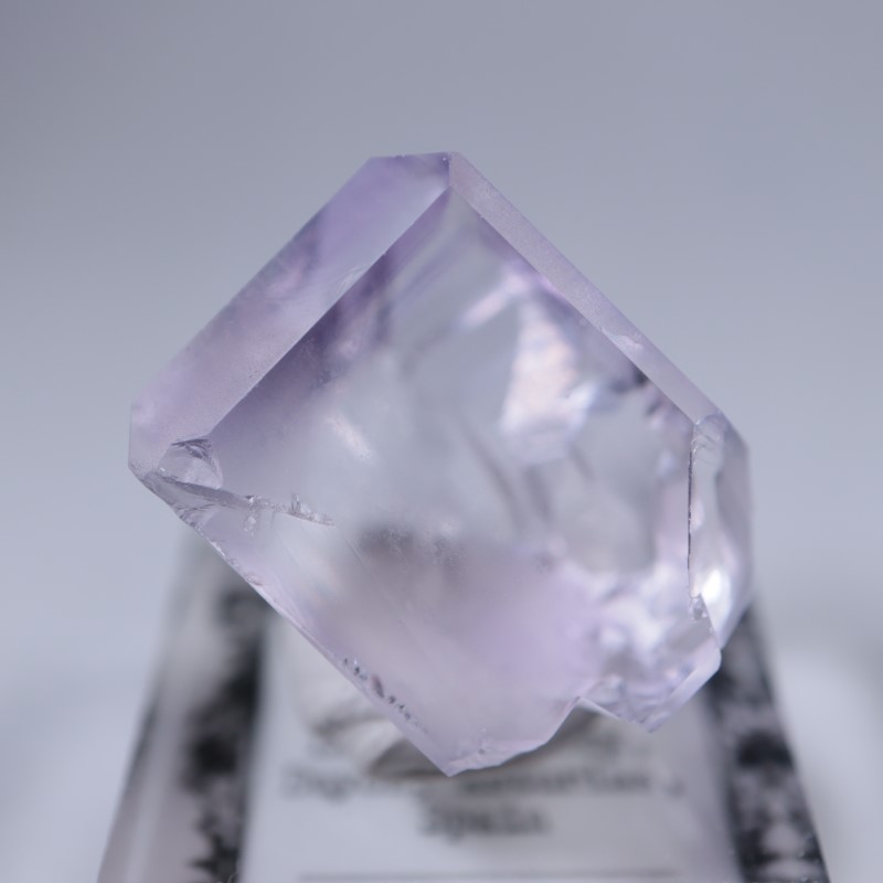 Llamas�����ե����饤��