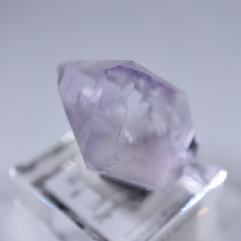 Llamas�����ե����饤��