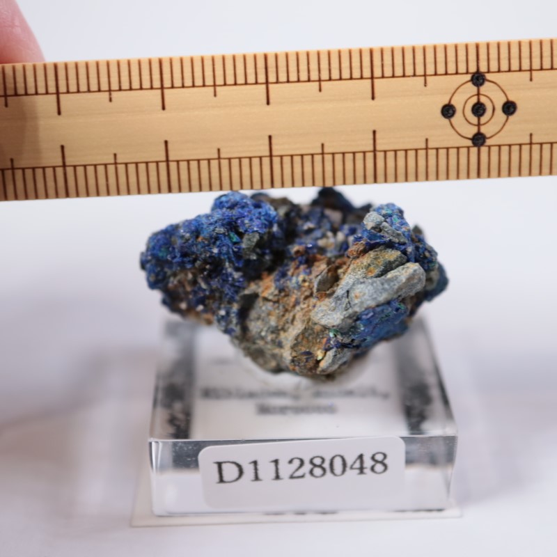 ����å����������饤��