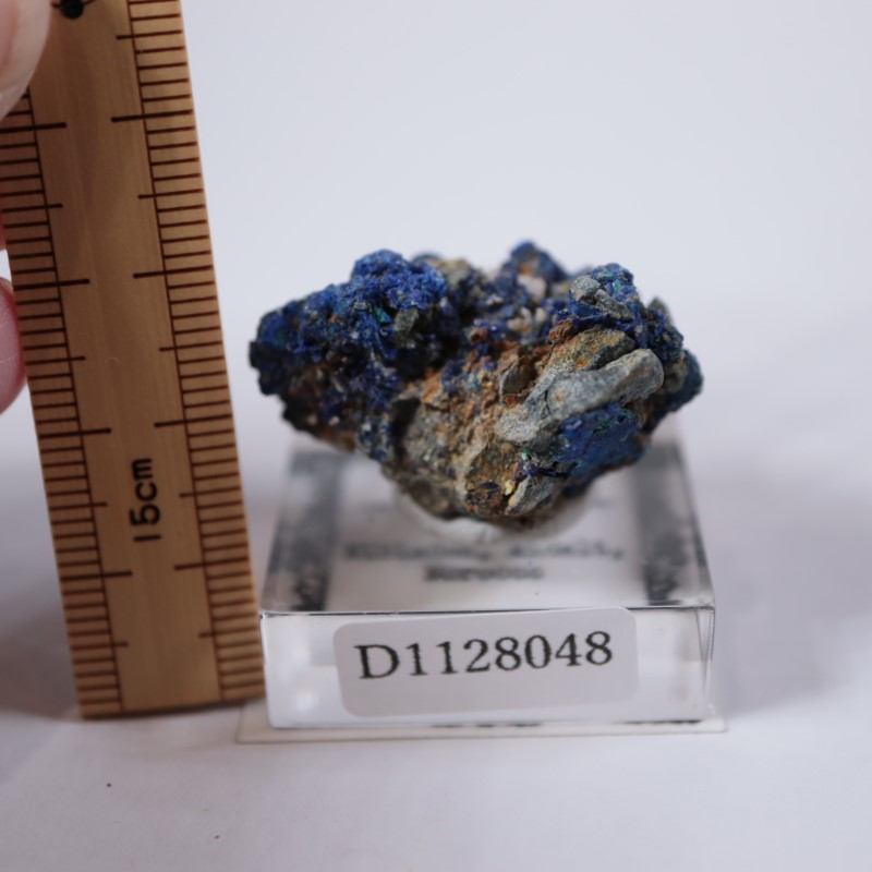 ����å����������饤��