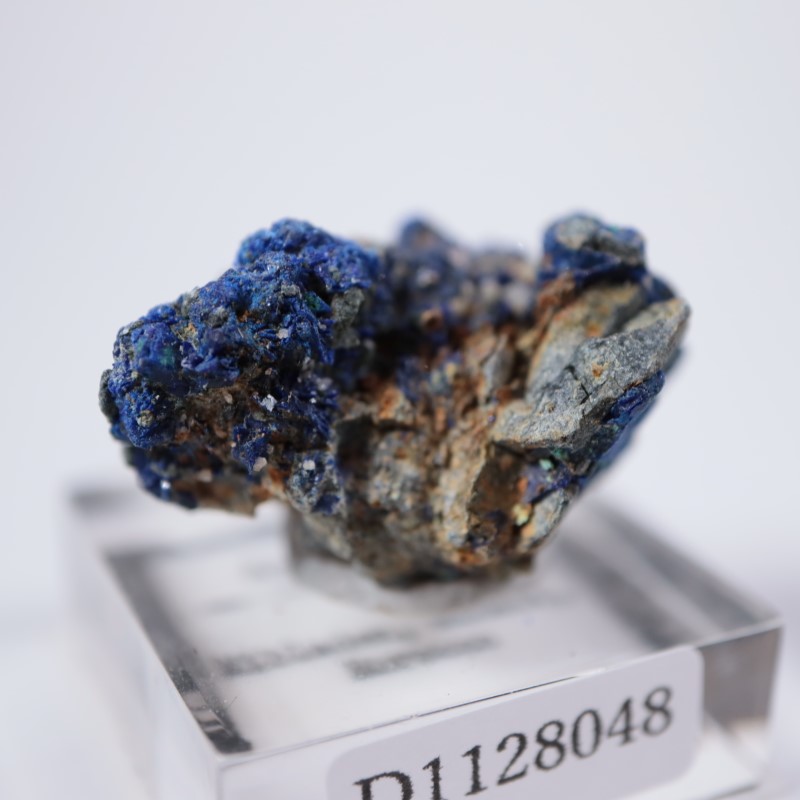 ����å����������饤��