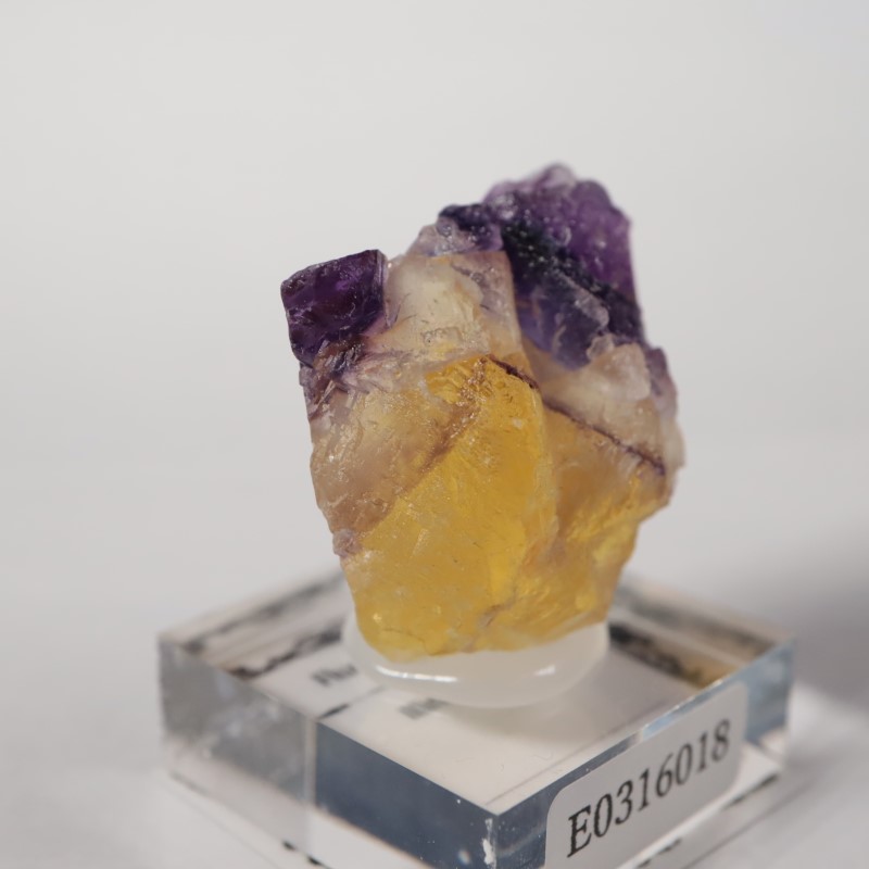 イリノイ州 フローライト | 鉱物標本,ハ行,フローライト/蛍石,フロー