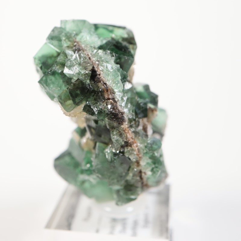 Druzy Dreams Pocket���ե����饤��