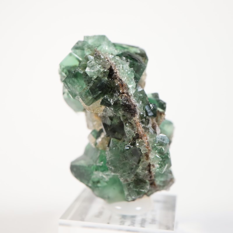 Druzy Dreams Pocket���ե����饤��