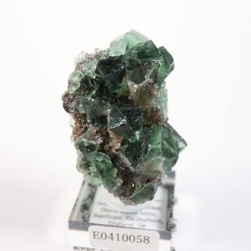 Druzy Dreams Pocket���ե����饤��