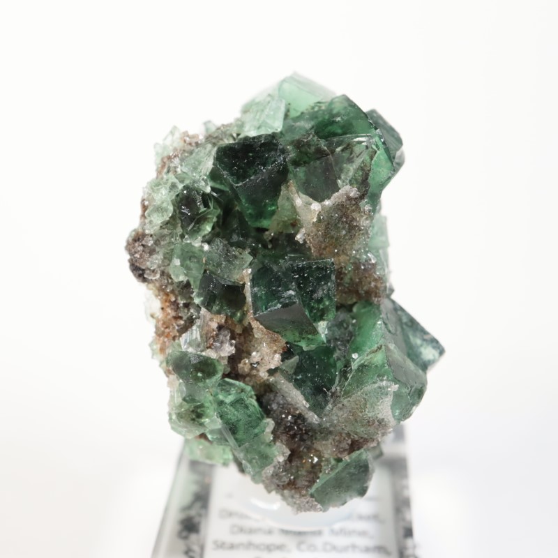 Druzy Dreams Pocket���ե����饤��