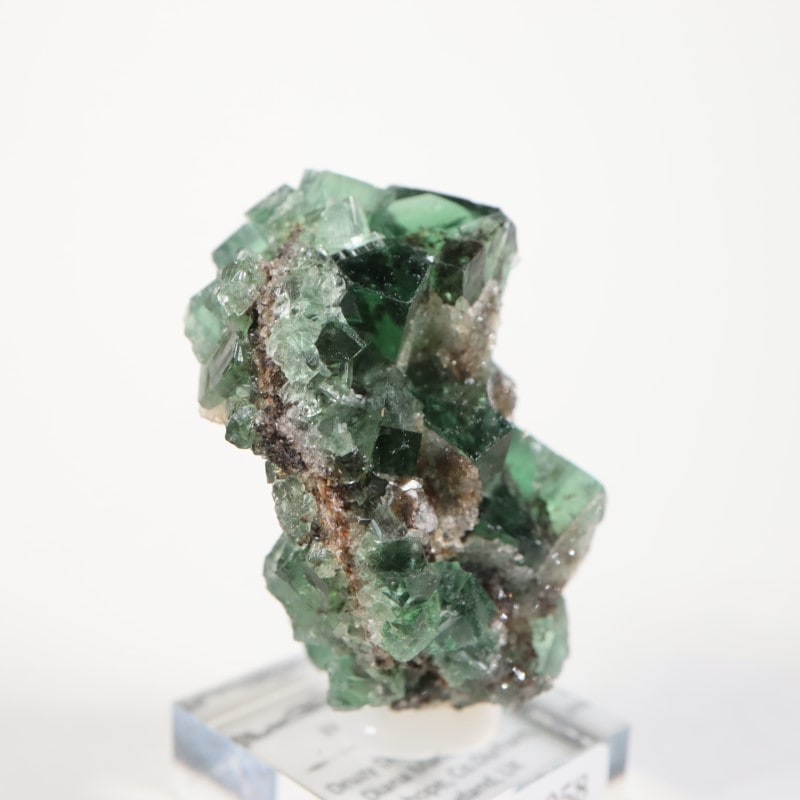 Druzy Dreams Pocket���ե����饤��