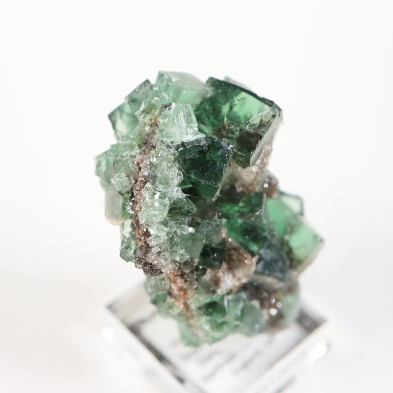 Druzy Dreams Pocket���ե����饤��