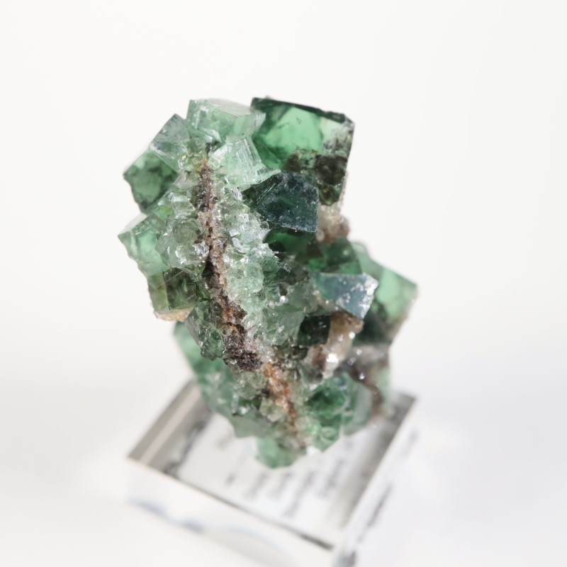 Druzy Dreams Pocket���ե����饤��