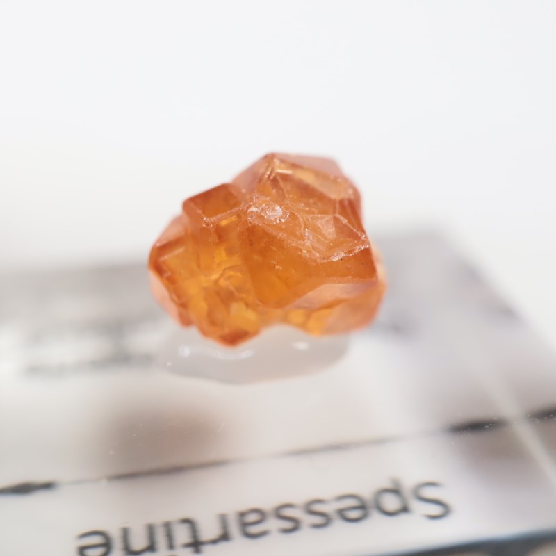 �ʥ������ꥢ�� ���ڥ���ƥ���